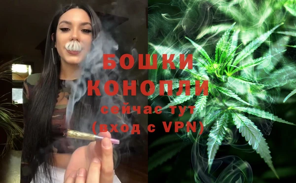 ПСИЛОЦИБИНОВЫЕ ГРИБЫ Горнозаводск
